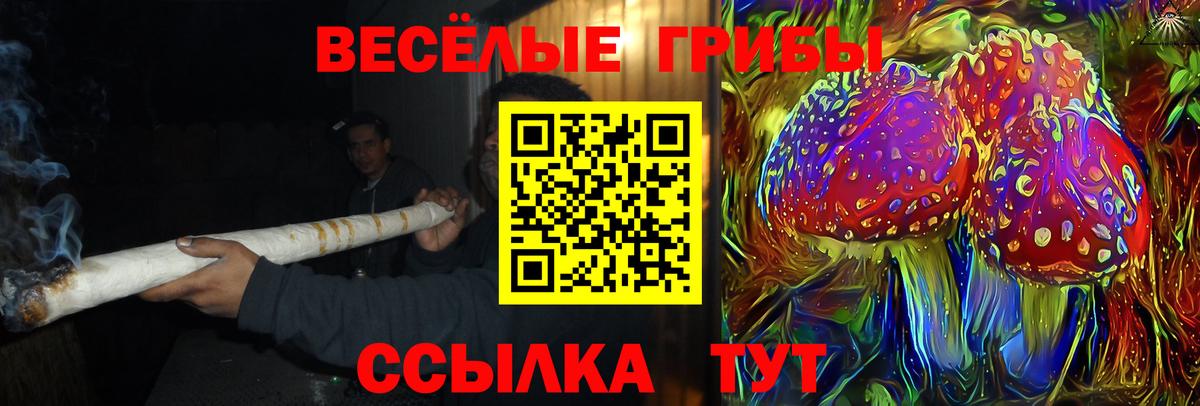 Вязники  Псилоцибиновые грибы ЛСД  Вход с VPN 